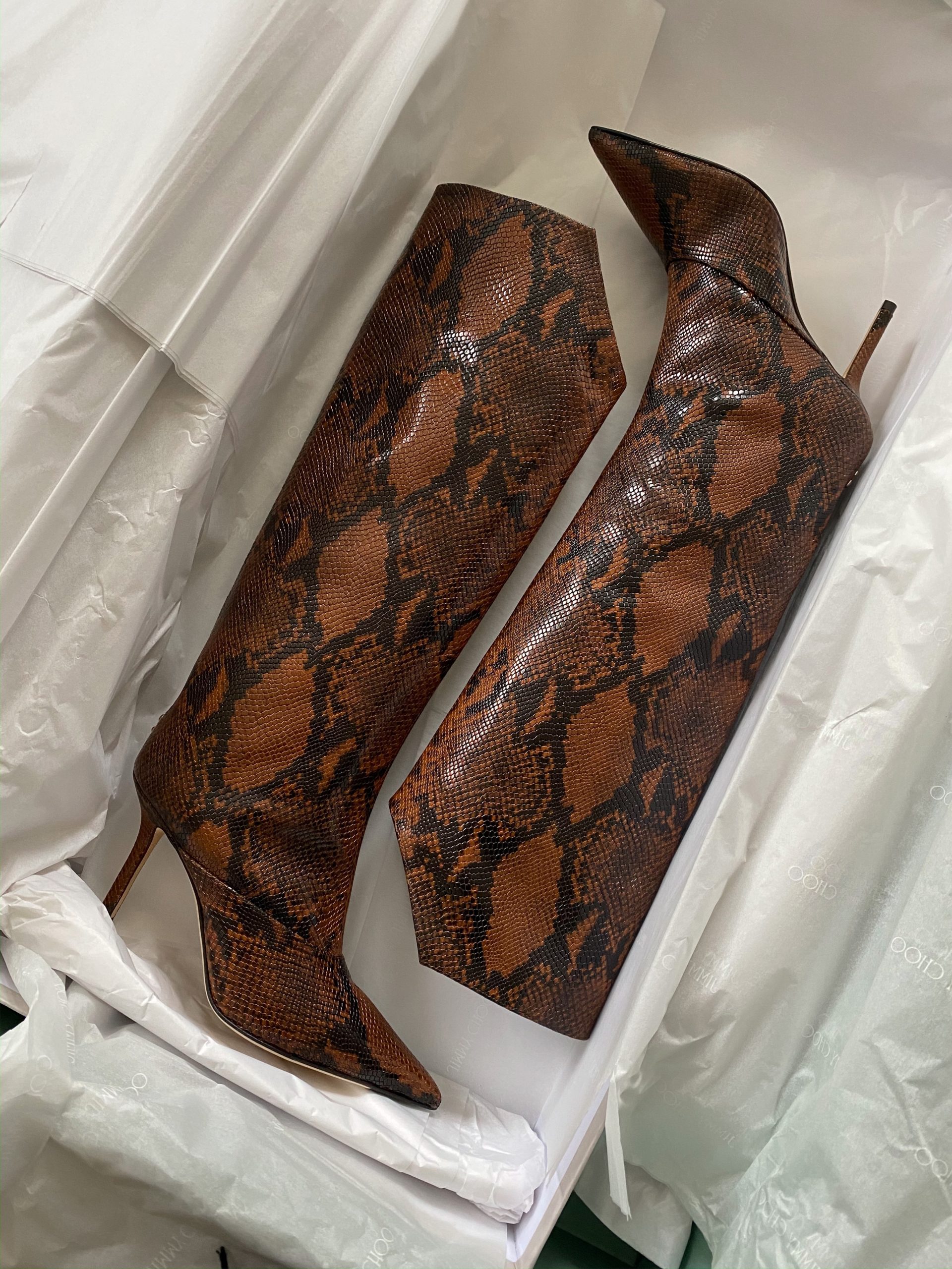 The Snakeskin Print Boots of My Dreams 