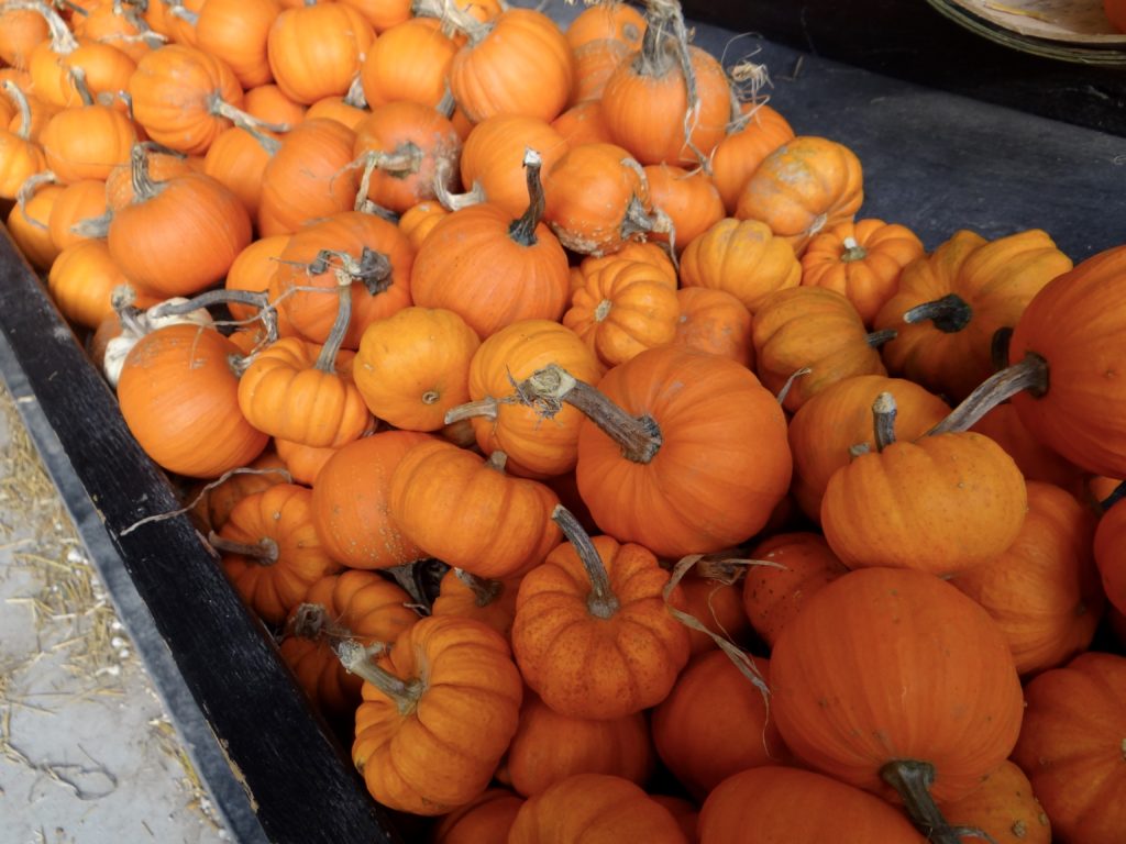 Light Fall Layers and Pumpkins