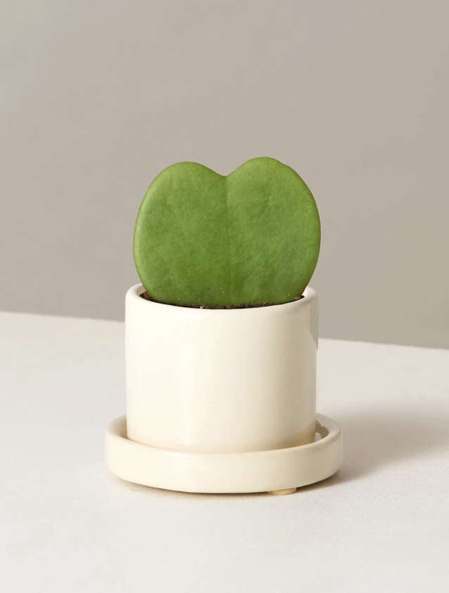 YOUR (THOUGHTFUL) 2021 VALENTINE'S DAY GIFT GUIDE